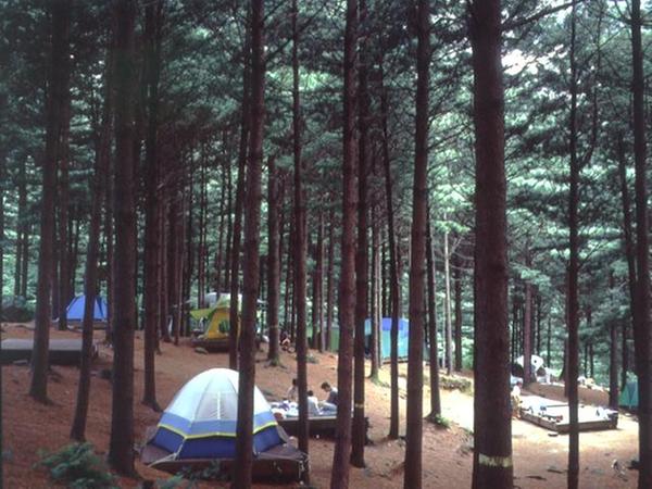 청태산자연휴양림이미지