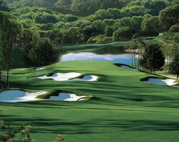 웰리힐리파크이미지