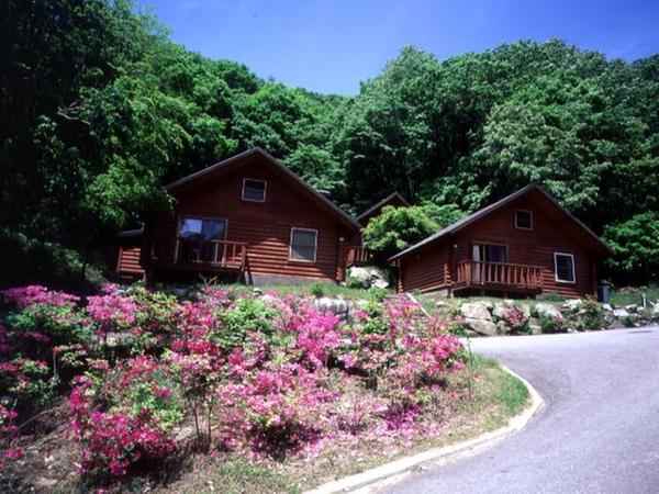 둔내자연휴양림이미지