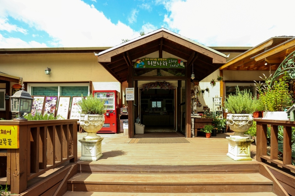 허브나라이미지