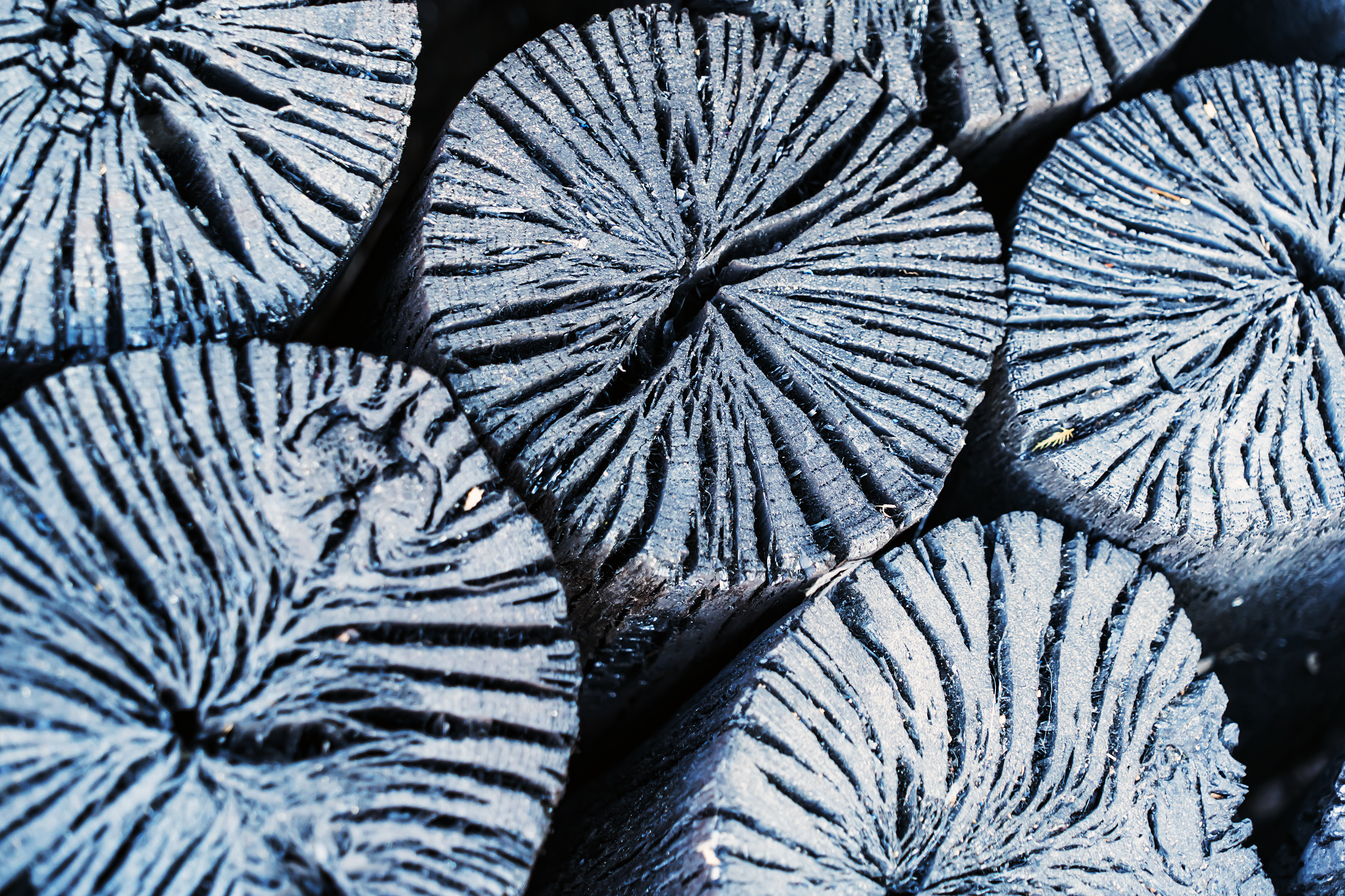 강원참숯마을이미지